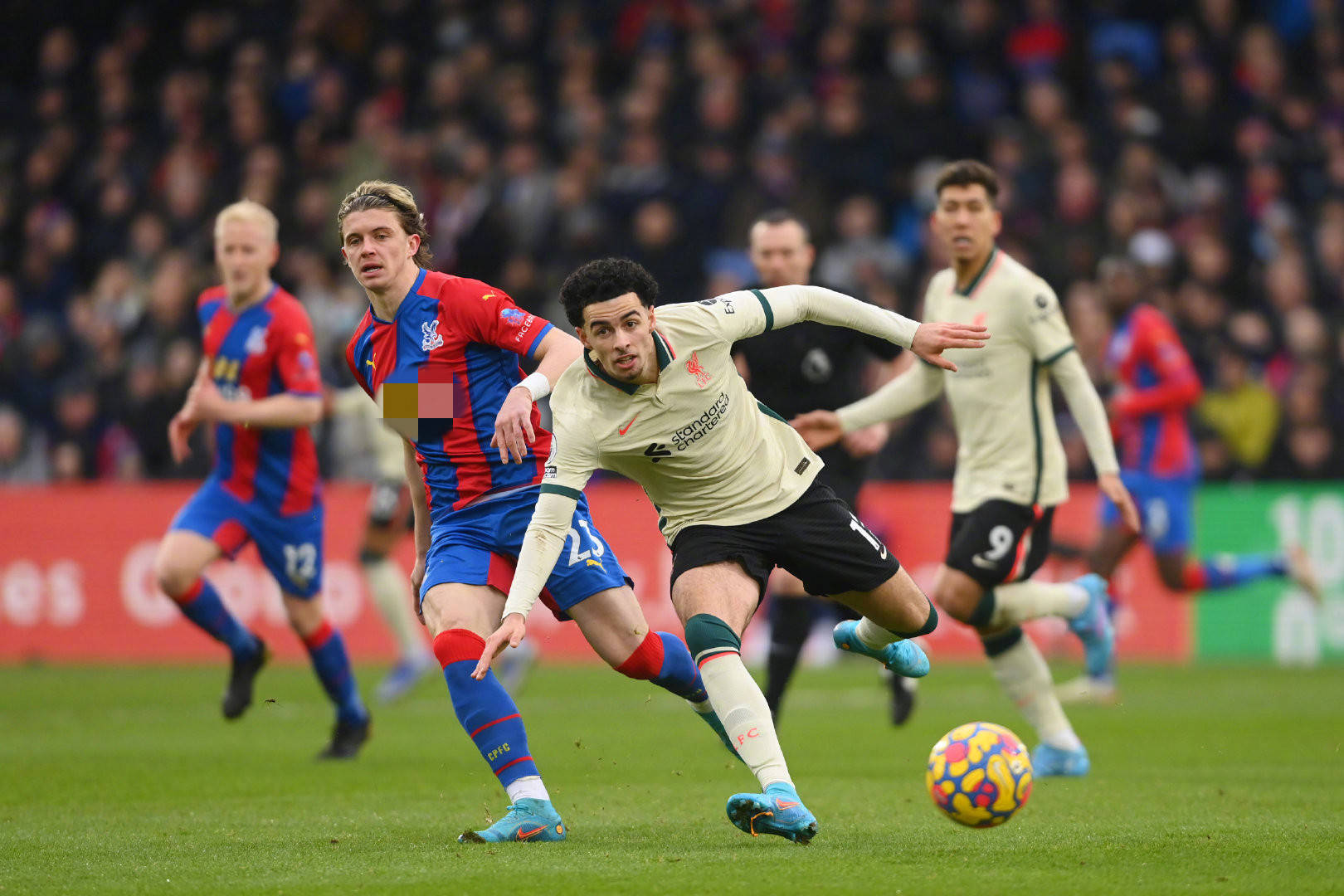 久違的主場 久違的主場