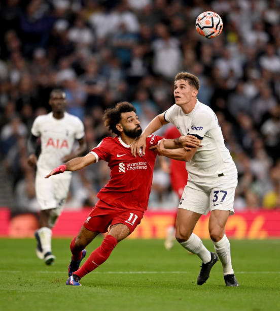 这再次证明 这再次证明